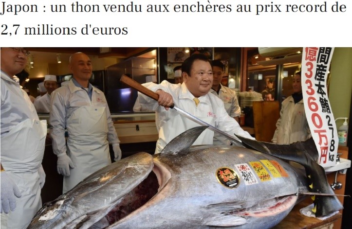 Thon peche