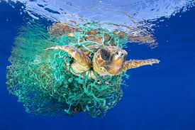 Menaces des oceans, 4 causes.