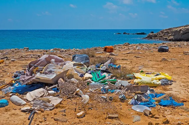 Plage souillee